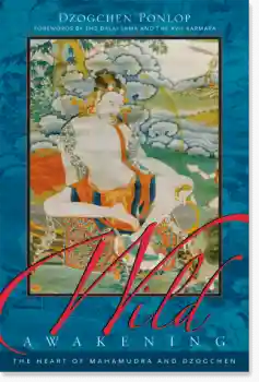  Dzogchen Ponlop : Wild Awakening