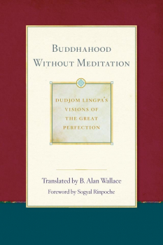 B. ALAN WALLACE : BUDDHAHOOD WITHOUT MEDITATION