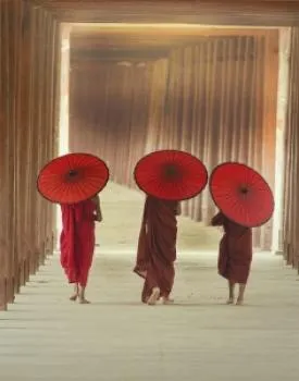 Mindful Walking Schreibbuch