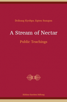 Jigten Sumgon : A Stream of Nectar