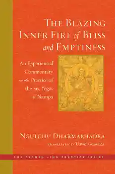 DAVID GONSALEZ : THE BLAZING INNER FIRE OF BLISS AND EMPTINESS