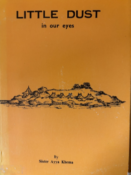 Ayya Khema : Little Dust in our eyes (Used)