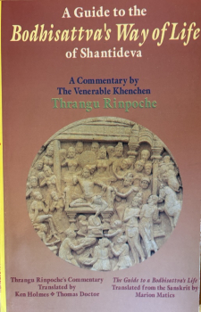 Khenchen Thrangu Rinpoche :  Shantideva's A Guide to the Bodhisattva's Way of Life (USED)