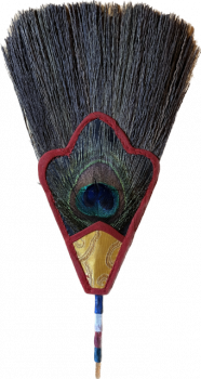 peacock feather