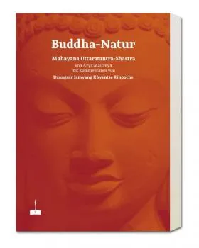 Arya Maitreya / Dzongsar Jamyang Khyentse Rinpoche : Buddha Natur