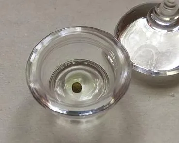 Mungopearl mother pill golden Zambhala
