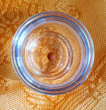 Rakta-Yamari-Schutz-Rilbu