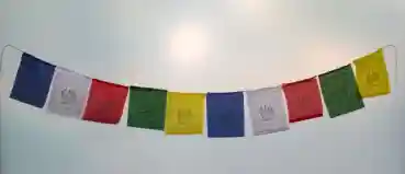 Tara Prayerflags mini