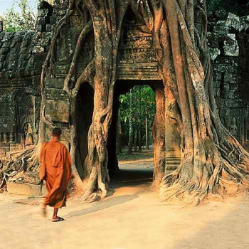 Mönch in Angkor (IQ183)