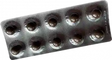 Dawoe Chinchud Chenmo (gesunde Leber)