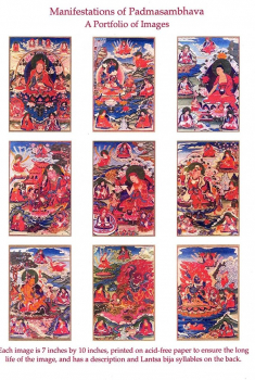 Padmasambhava und seine 9 Manifestationen in einem Portfolio