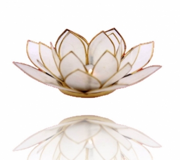 Lotus Licht mit Goldrand