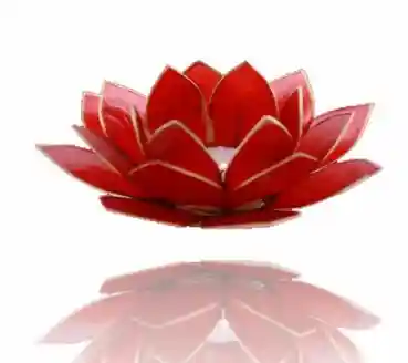 Lotus candlelightholder chakra goldlining