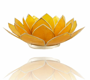 Lotus Licht mit Goldrand