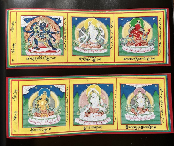 Willson, Martin and Brauen, Martin : Deities of Tibetan Buddhism (GEB)