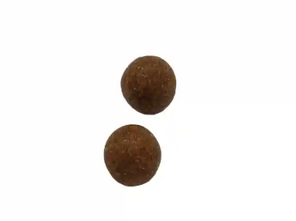 2 blessed Naga pills - Bumje Nyernga rilbu (Made in Ka-Nying Shedrub Ling Monastery of Nepal.)