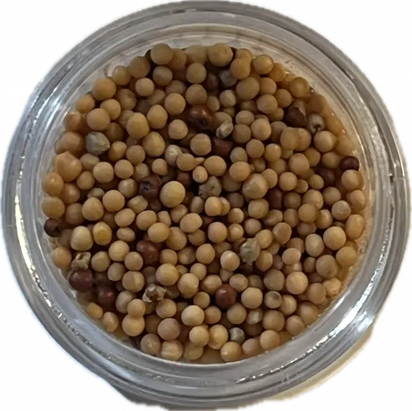 Multiple Blessed Manjusri Pills