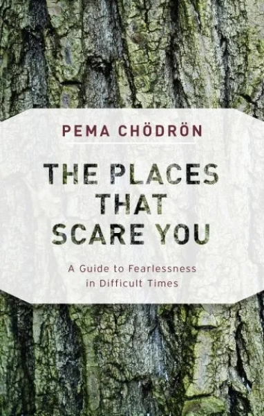 Pema Chodron : The Places That Scare You - A Guide to Fearlessness in Difficult Times