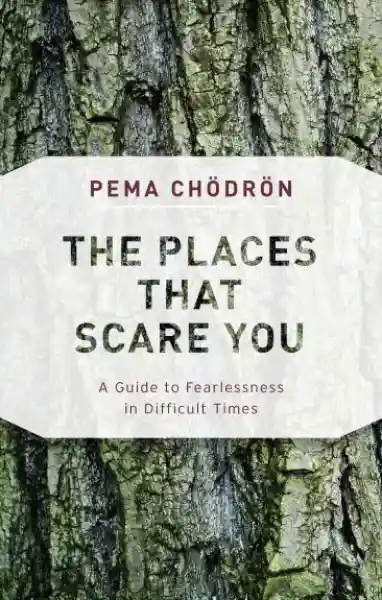 Pema Chodron : The Places That Scare You - A Guide to Fearlessness in Difficult Times