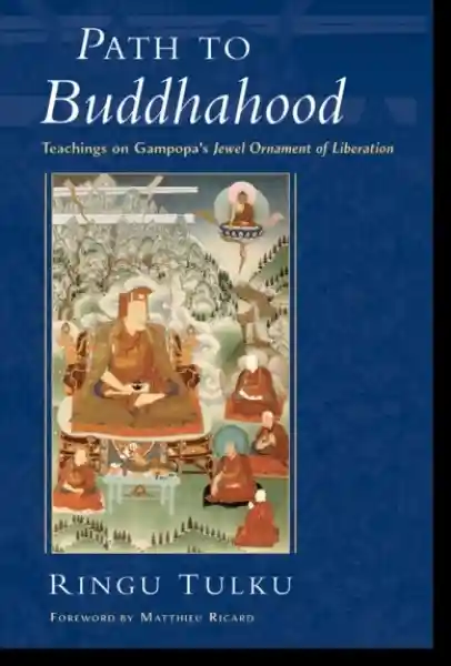 Ringu Tulku : Path to Buddhahood Teachings on Gampopa's Jewel Ornament of Liberation