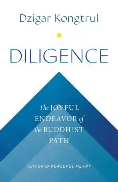 Dzigar Kongtrul : Diligence - The Joyful Endeavor of the Buddhist Path