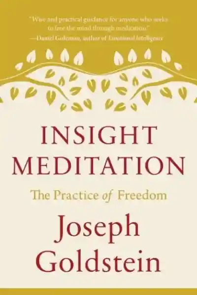 Joseph Goldstein : Insight Meditation The Practice of Freedom