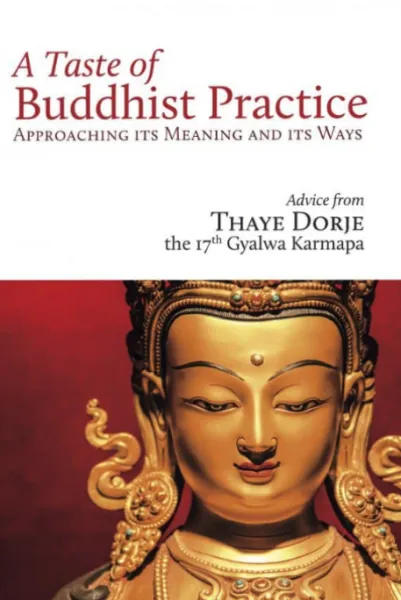 Thaye Dorje, the 17th Gyalwa Karmapa : A Taste of Buddhist Practice