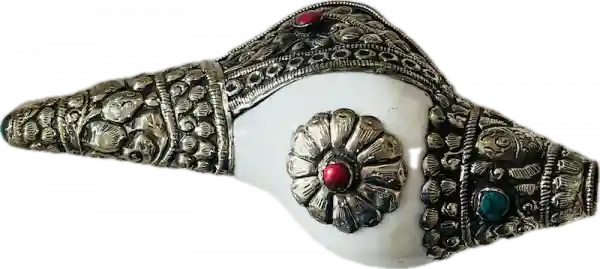 Ritual shell with white metal Puja