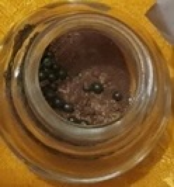 16. Karmapa Sun and Moon Sarira