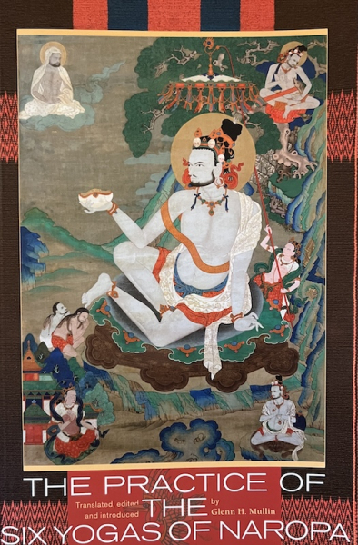 Gleen Mullin : The Six Yogas of Naropa USED