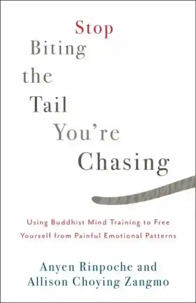Anyen Rinpoche : Stop Biting the Tail You’re Chasing