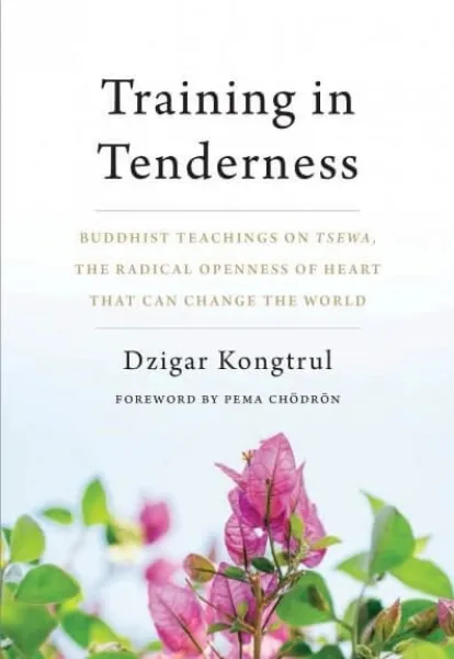 Dzigar Kongtrul : Training in Tenderness