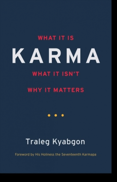 Traleg Kyabgon : Karma What It Is, What It Isn't, Why It Matters