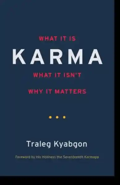 Traleg Kyabgon : Karma What It Is, What It Isn't, Why It Matters