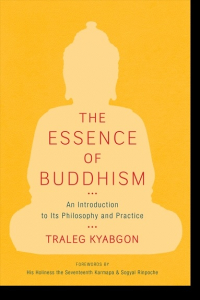 Traleg Kyabgon : The Essence of Buddhism