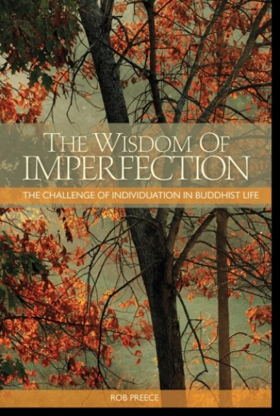 Rob Preece : The Wisdom of Imperfection
