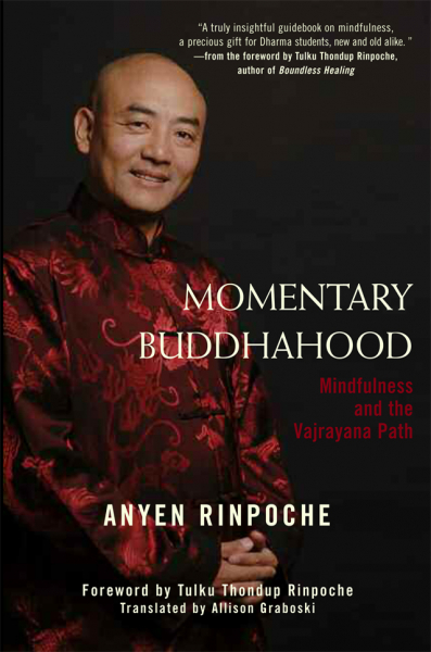 ANYEN RINPOCHE : MOMENTARY BUDDHAHOOD Mindfulness and the Vajrayana Path