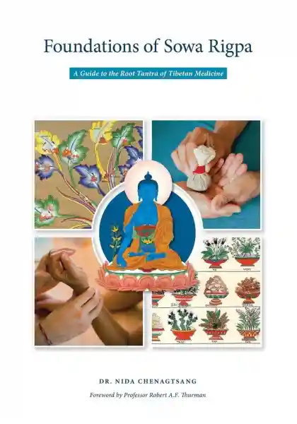 Nida Chenagtsang : Foundations of Sowa Rigpa: A Guide to the Root Tantra of Tibetan Medicine