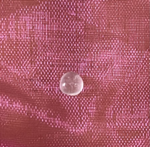 Buddha Shakyamuni's blessing Sariras of the 1st Council