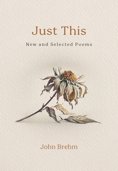 John Brehm : JUST THIS New and Selected Poems