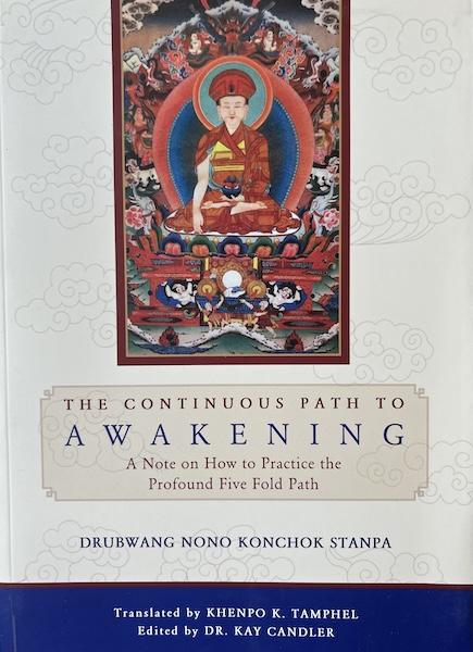 Drubwang Nono Konchok Stanpa : The continuous Path to Awakening (Gebraucht)