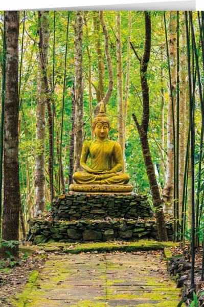 Buddha im Wald (IQN564)