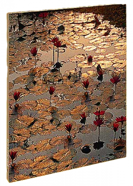 Lotus Inspiration Schreibbuch