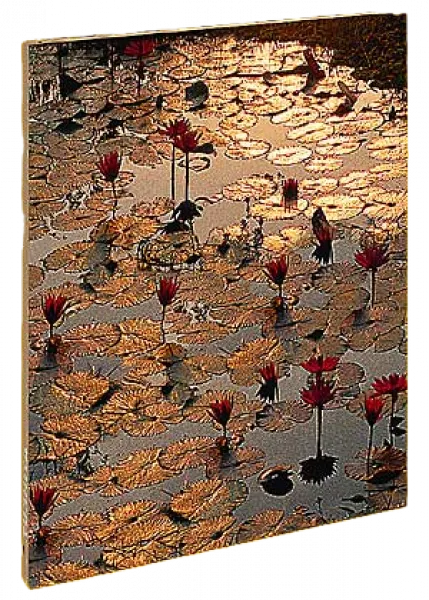 Lotus Inspiration Schreibbuch