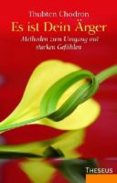 Thubten Chodron : Es ist Dein Ärger (GEB)