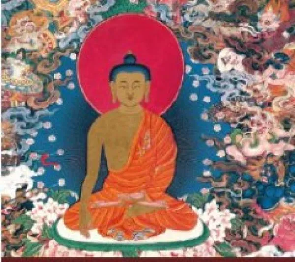 Sogyal Rinpoche : Leid verwandeln (Doppel-Audio CD)