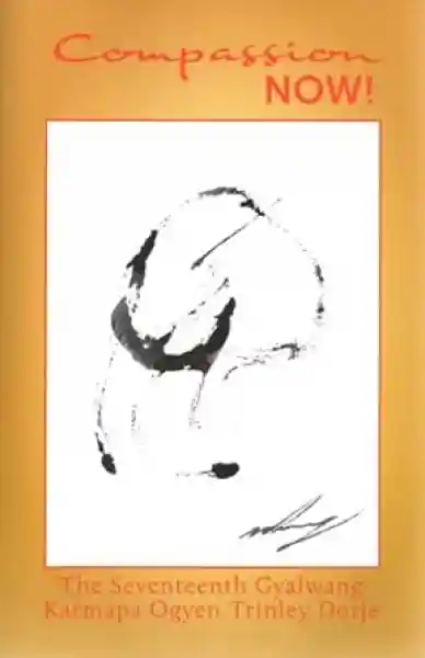 Ogyen Trinley Dorje : Compassion NOW!