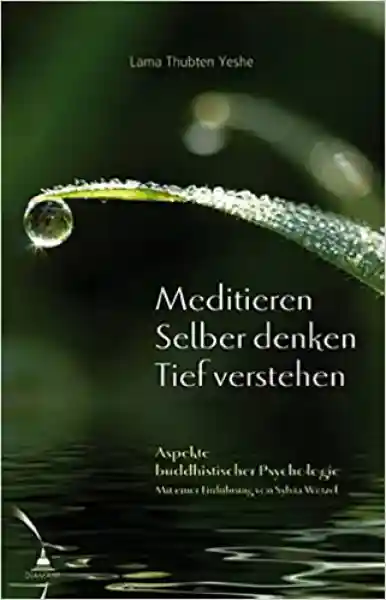 Lama Yeshe : Meditieren. Selber denken. Tief verstehen: Aspekte buddhistischer Psychologie