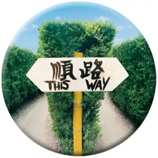 Magnet This Way