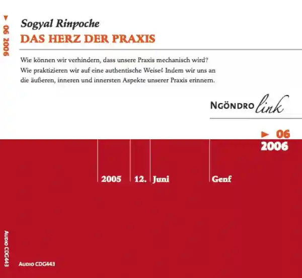 Sogyal Rinpoche : Das Herz der Praxis (Audio-CD)